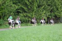 Pfingsten 2010: Pullman 23./24. Mai